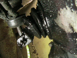 gearbox3.jpg
