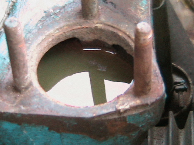 pic1.jpg